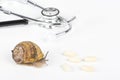 Stethoscope and big brown snail alive with pills on white background