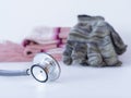 Stethoscope, glove and Neckwear Winter on white background