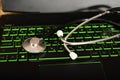 Stethoscope is lying on a green keyboard on a laptop, office equipment repair concept