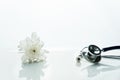 Stethoscope for medical doctor health in diagnosis in hospital or clinic with white natural flower clean background