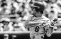 Steve Garvey Royalty Free Stock Photo