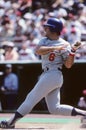 Steve Garvey Royalty Free Stock Photo