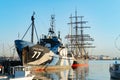 Steve Irwin Sea Shepherd ship docked with square rigged James Craig moored behind