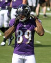 Steve Smith, Sr.