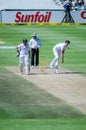 Steven Finn Bowling at Hashim Amla