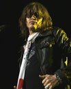 Aerosmith performs in concert