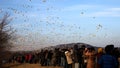 Tourists and photographers shooting photos of snow geese flying at Middle Creek Wildlife Management Area