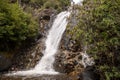 Stevenson Falls in Victoria, Australia Royalty Free Stock Photo