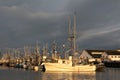 Steveston Docks