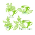 Stevia and cup set. Vector organic symbol Royalty Free Stock Photo