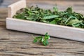 Dry stevia leaf