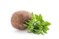 Stevia green leaves and siraitia grosvenorii fruit isolated on white background