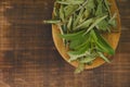 Stevia green twig into in dry stevia leaves in a wooden spoon on a wooden background.Stevioside Sweetener.View from