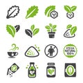 Stevia icon set Royalty Free Stock Photo