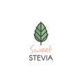 Stevia Leaf Natural Organic and Healthy Sweetener