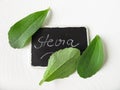 Stevia leaves and nameplate