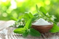 Stevia Leaves and Powdered Sweetener on Wooden Table in Garden