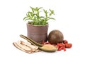 Stevia ,licorice,siraitia grosvenorii,Jujube and goji berry isolated on white background