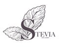 Stevia natural sweetener, leaf put in drink cup vector.