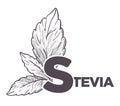 Stevia natural sweetener, leaf put in drink cup vector.