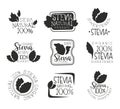 Stevia organic product logo set, natural sweetener black and white badge, label, sticker vector Illustrations on a white Royalty Free Stock Photo