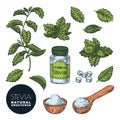 Stevia plant, leaves, powder and bottle pills. Vector sketch illustration. Natural sweetener, sugar healthy alternative