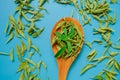 Stevia plant. stevia leaves in a wooden spoon on a blue background.Stevia rebaudiana.Alternative Low Calorie Sweetener Royalty Free Stock Photo