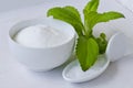 Stevia Powder. Natural Sweetener. Royalty Free Stock Photo