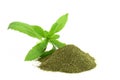 Stevia Rebaudiana