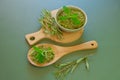 Stevia rebaudiana.Stevia plant.Alternative Low Calorie Vegetable Sweetener.Dried stevia and green twig in a cup and a Royalty Free Stock Photo