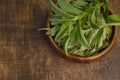 Stevia rebaudiana.Stevia green twig into in dry stevia leaves on a wooden background.Stevioside Sweetener.View from Royalty Free Stock Photo