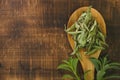 Stevia rebaudiana.Stevia green twig into in dry stevia leaves in a wooden spoon on a wooden background.Stevioside