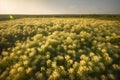 Stevia rebaudiana, sweet leaf sugar substitute isolated on field background. Neural network AI generated