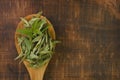 Stevia rebaudiana twig into in dry stevia leaves in a wooden spoon on a wooden background.Stevioside Sweetener.View