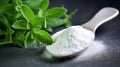 Stevia sugar with a twig of stevia plant on dark background. Spoon filled with stevia powder with fresh stevia leaves, stevia