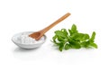 Stevia or Sweet Herb Royalty Free Stock Photo