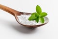 Stevia or Sweet Herb Royalty Free Stock Photo