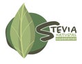 Stevia sweetener, natural organic ingredients Royalty Free Stock Photo