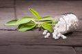 Stevia Sweetener Pills - Stevia rebaudiana Royalty Free Stock Photo