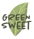 Stevia sweetener vector logo template. Green leaf of sugar