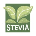 Stevia sweetener vector logo template. Green leaf of sugar