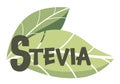 Stevia sweetener vector logo template. Green leaf of sugar