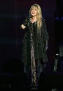 Stevie Nicks Performs in Concert