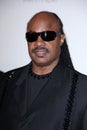 Stevie Wonder