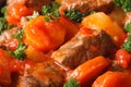 Stew in tomato sauce and vegetables macro horizontal. Background Royalty Free Stock Photo