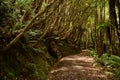 Stewart island Rakiura track, New Zealand