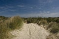 Stewart Island sand dunes