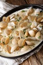 Stewed clams in creamy sauce with herbs close-up. Vertical Royalty Free Stock Photo