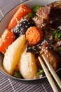 Stewed Korean Short Ribs (Kalbi Jim or Galbi jjim)ÃÂ macro. vertical Royalty Free Stock Photo