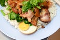 Stewed pork leg with egg and on rice Royalty Free Stock Photo